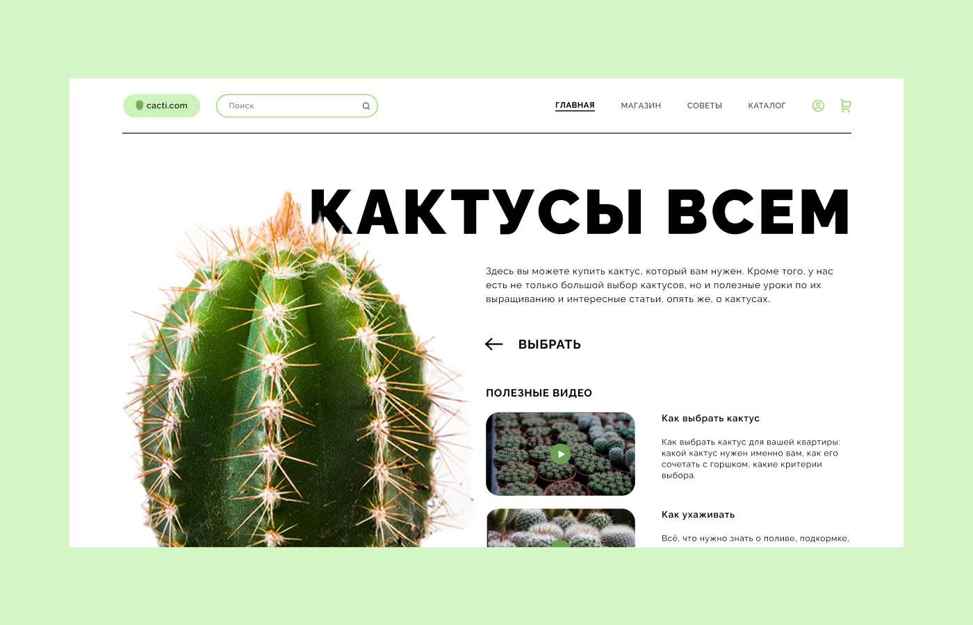 кейс кактуса.png