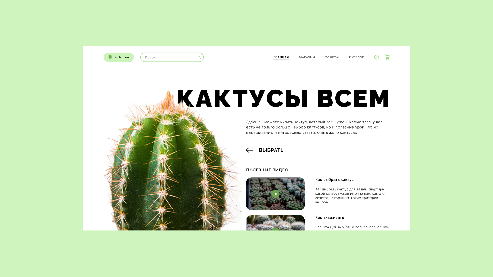 Магазин комнатных растений