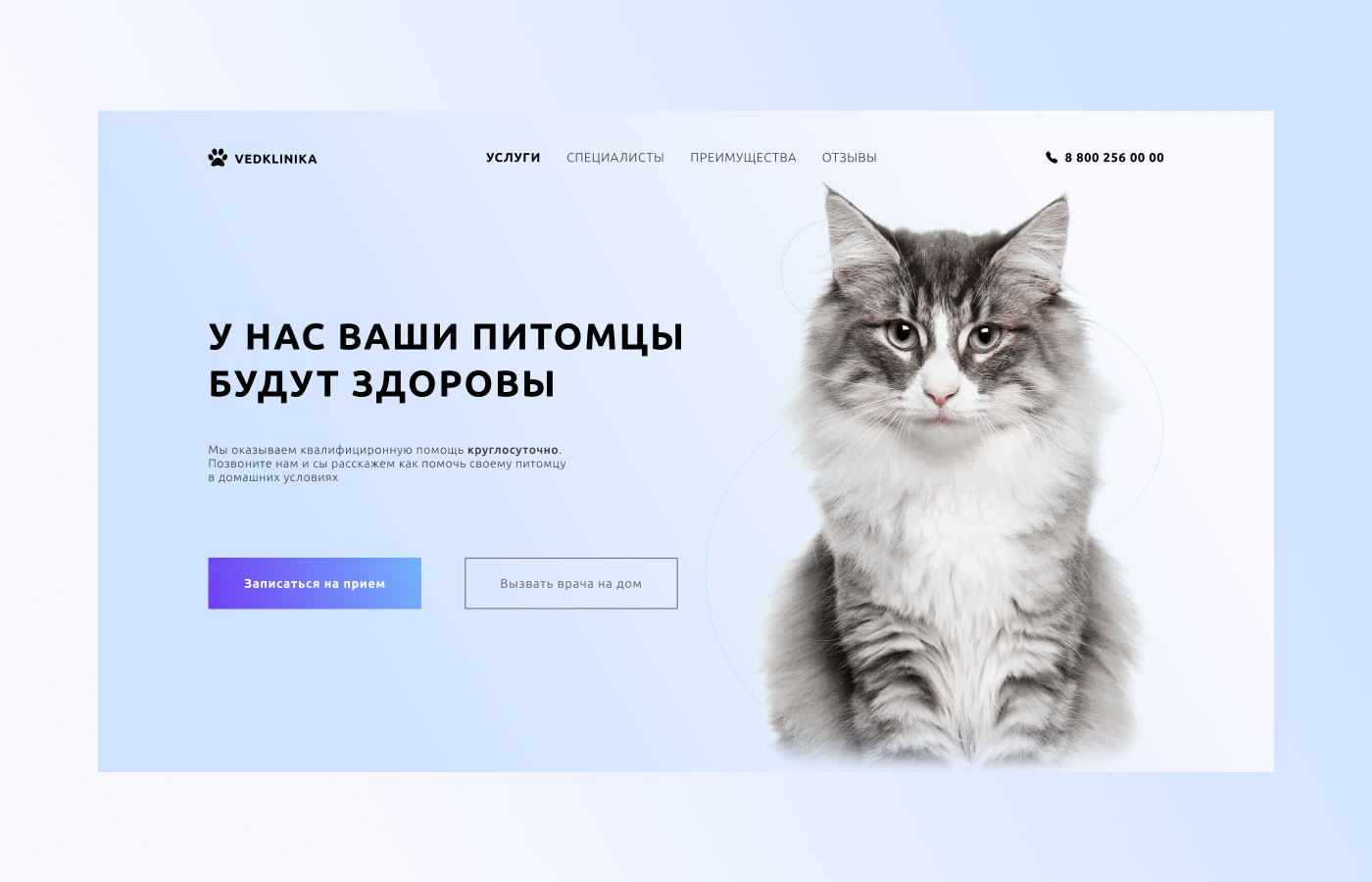 кейс вет клиника.png