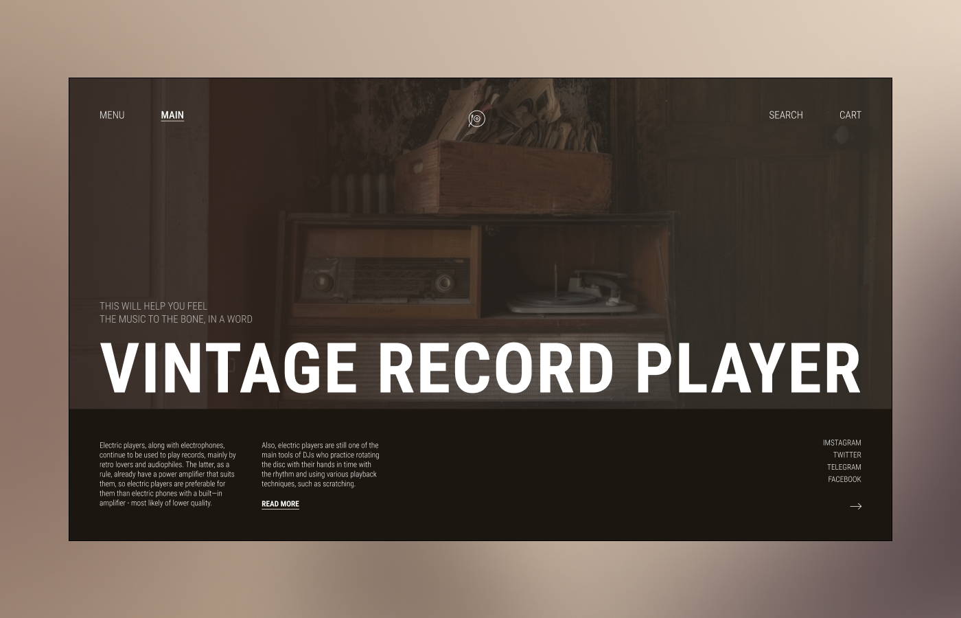 кейс магазин винила.png