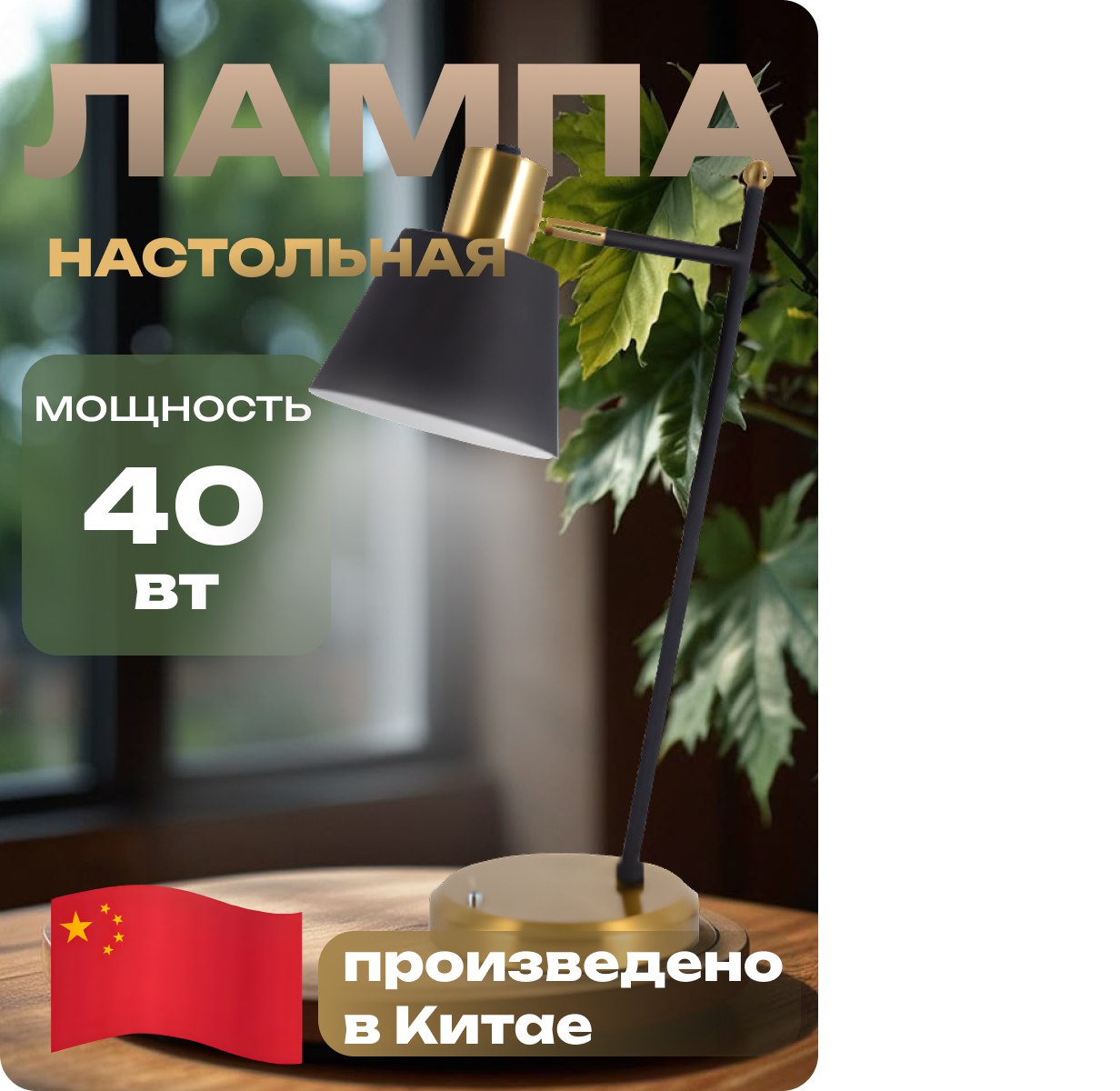 1000003747.jpg