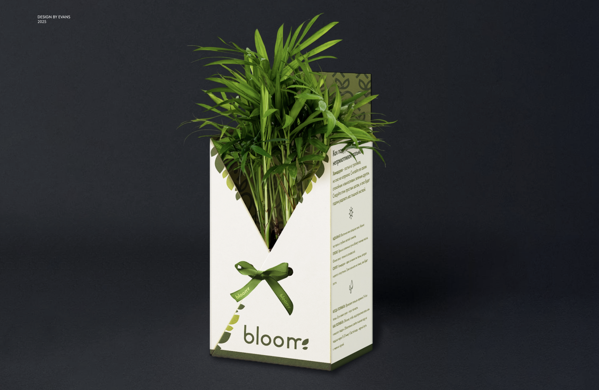 Снимок экрана 2026-02-08 в 17.01.06.png