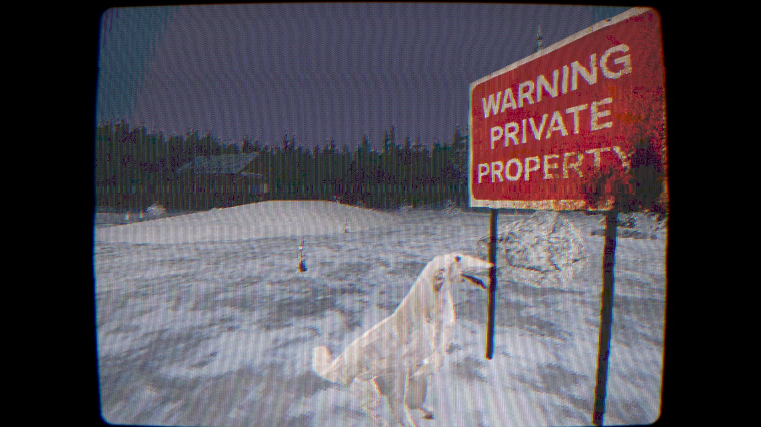 GvHSkMRWMAATlVu.jfif