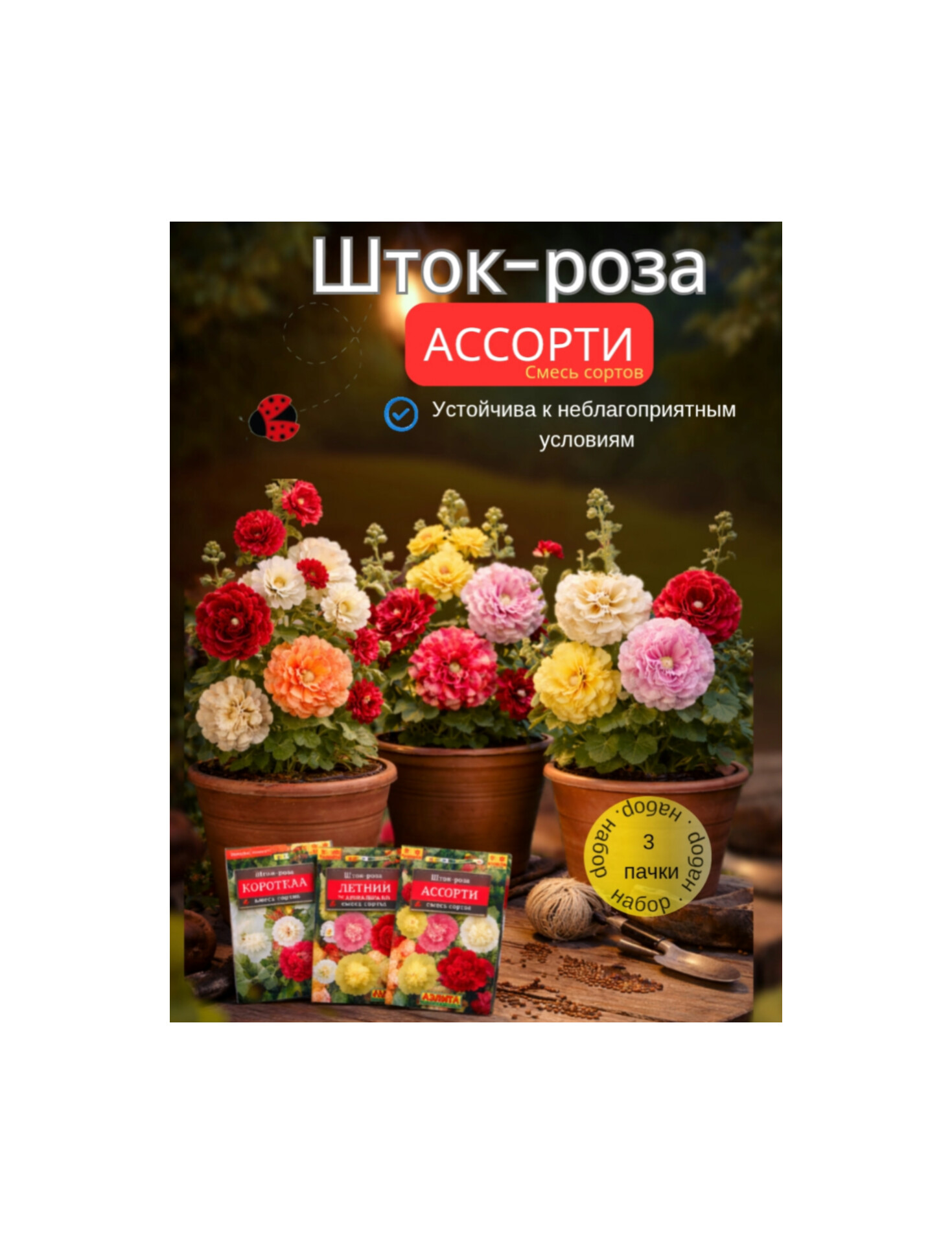 1002059661.jpg