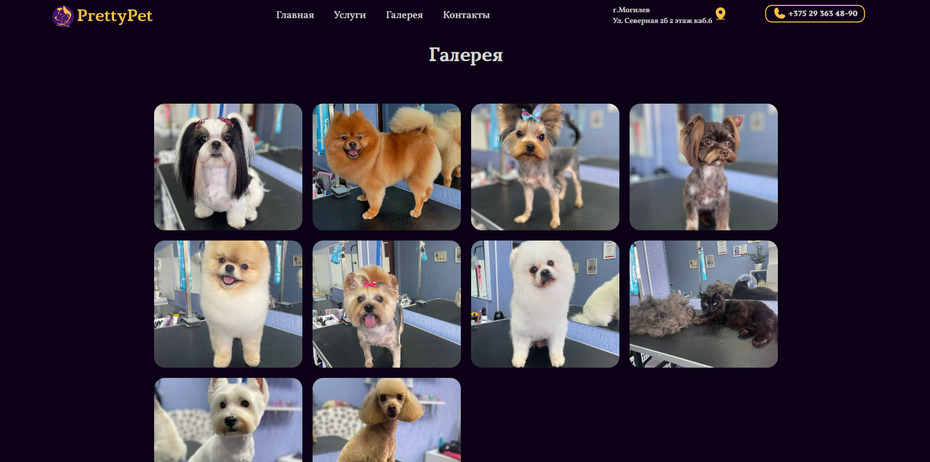 {9DCB3229-2D64-4B3F-A4CE-7F5BEABF5E6B} 1.png