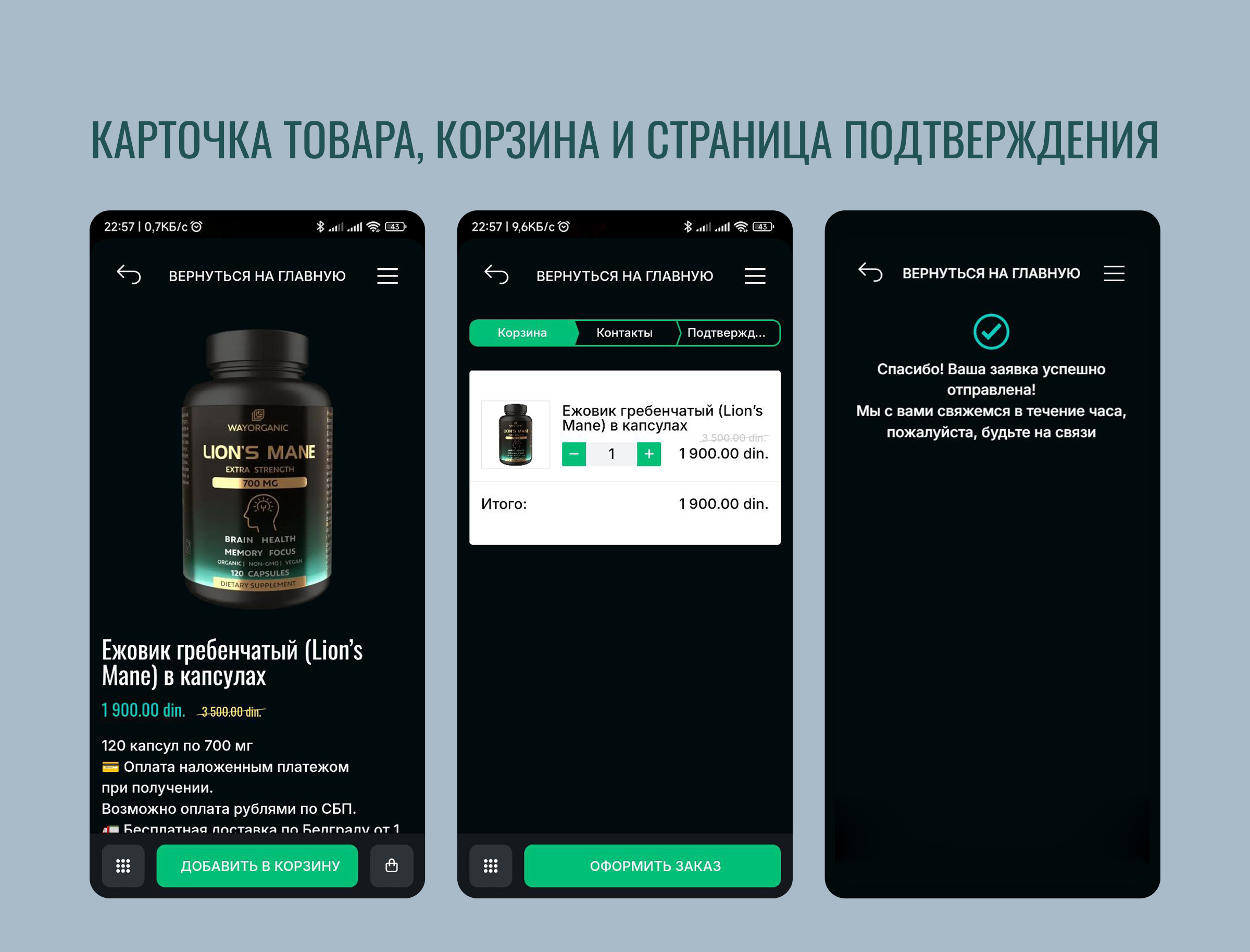 Ежовик-кейс-2.jpg