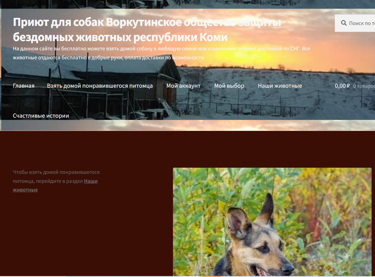 Сайт приюта для собак город Воркута