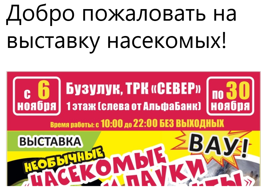 Обьявление о выставке насекомых
