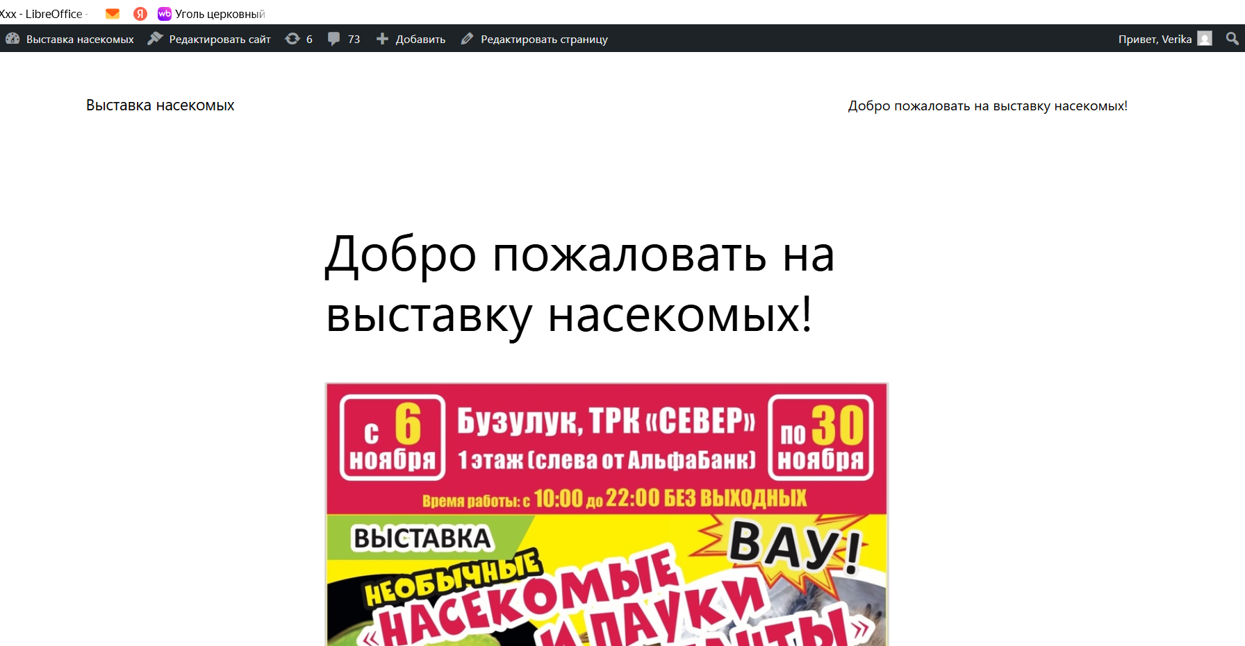 насекомые.png