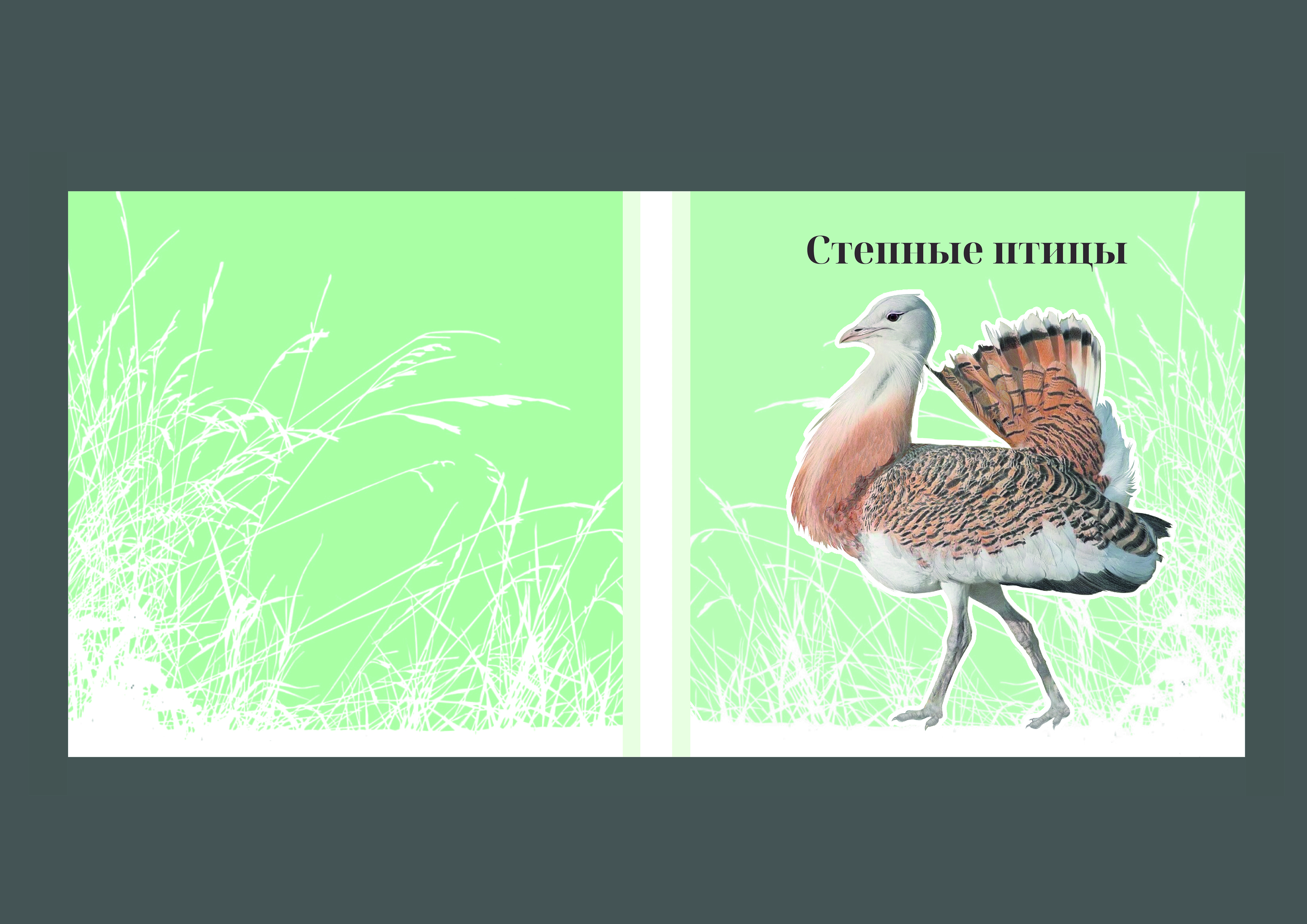 п.jpg