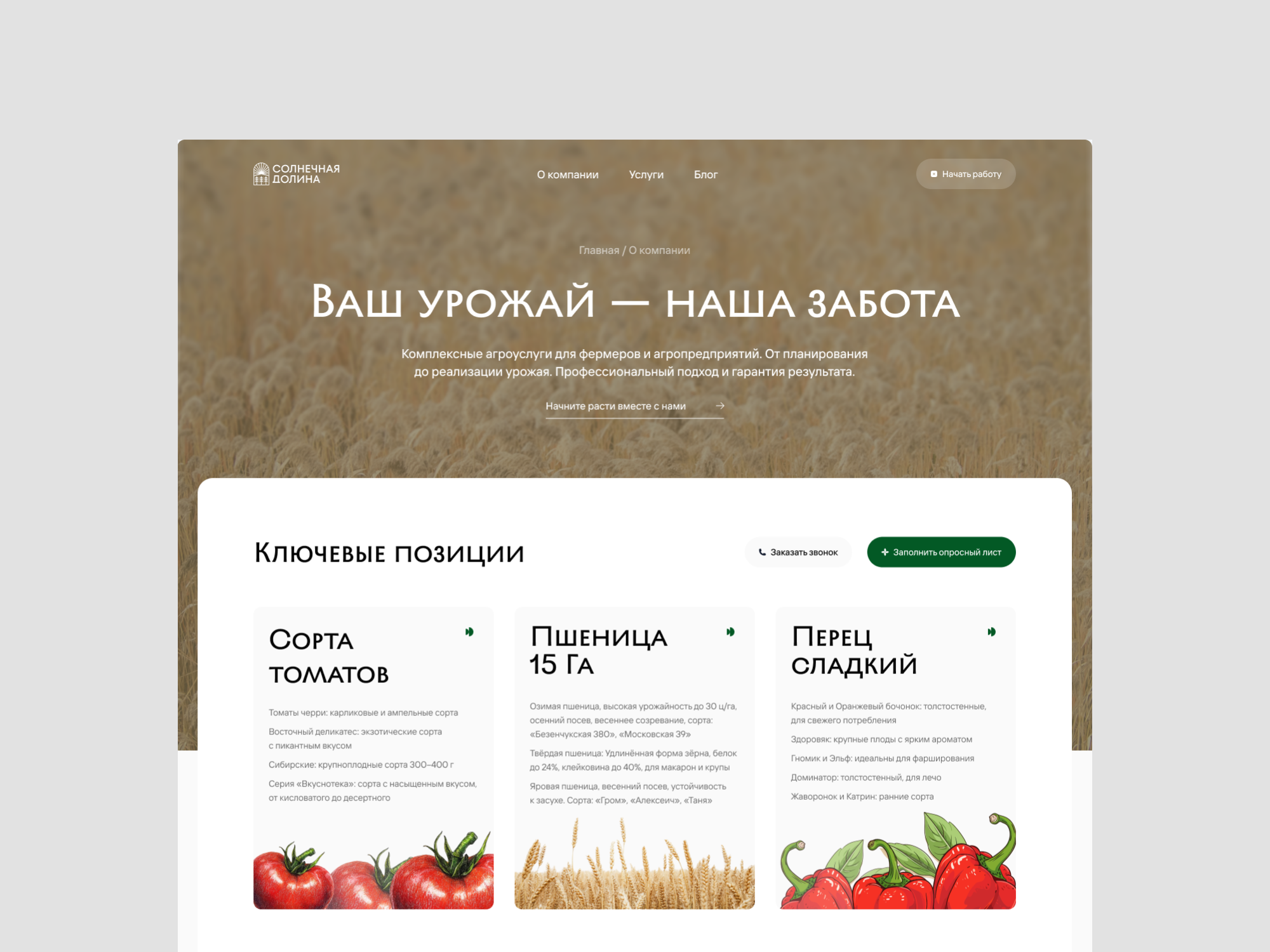 Веб-сайт для компании "Солнечная Долина"