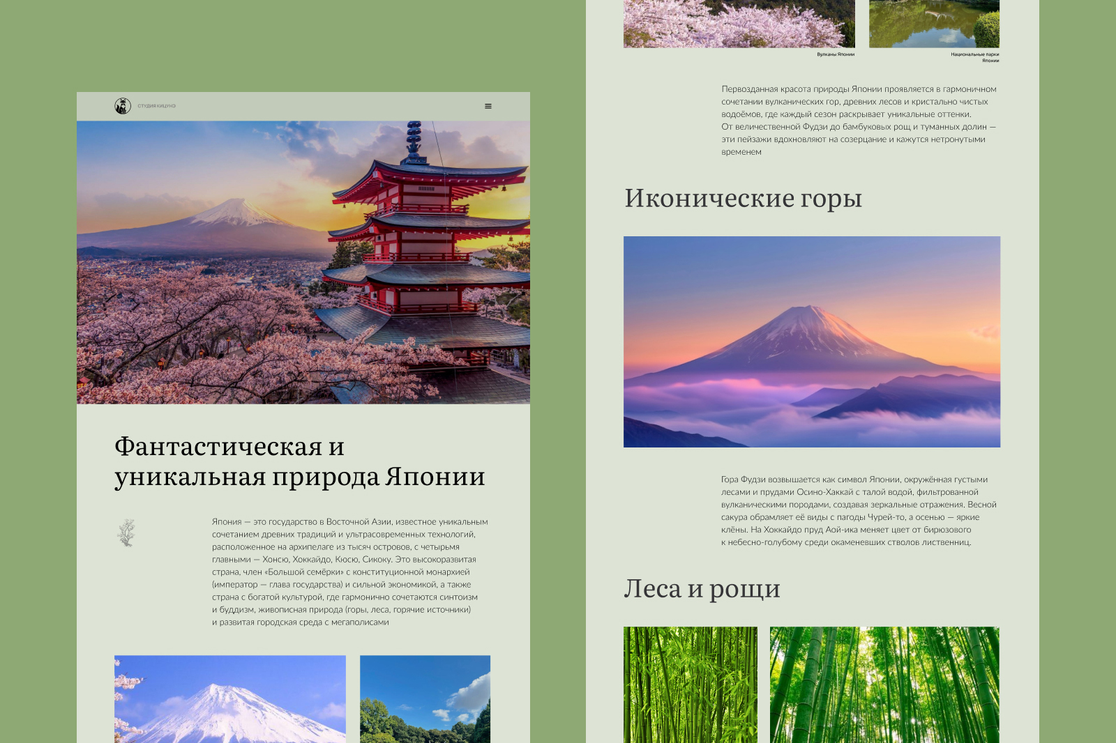 Drobbble 11 копия.jpg