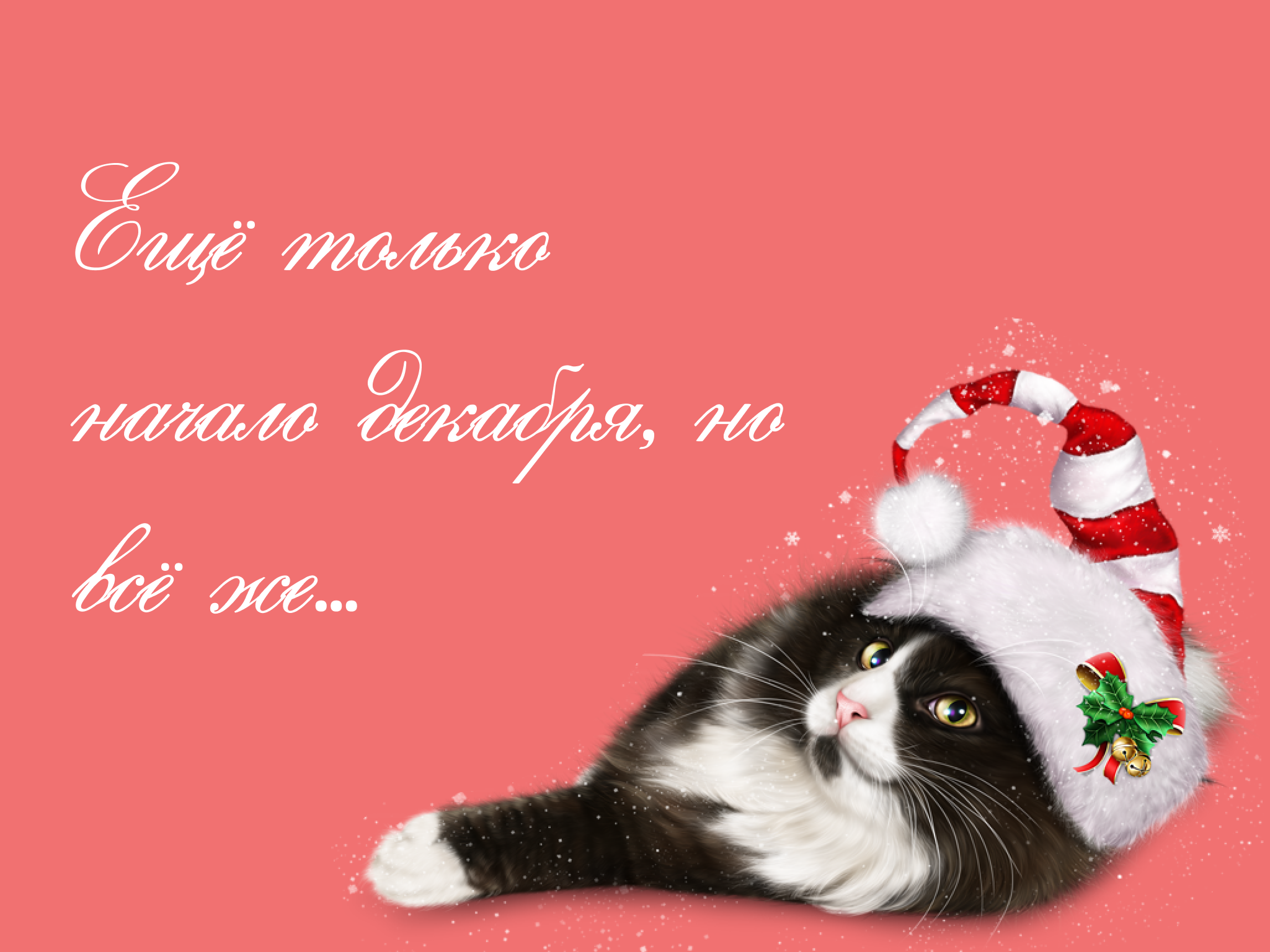 кот 1.png