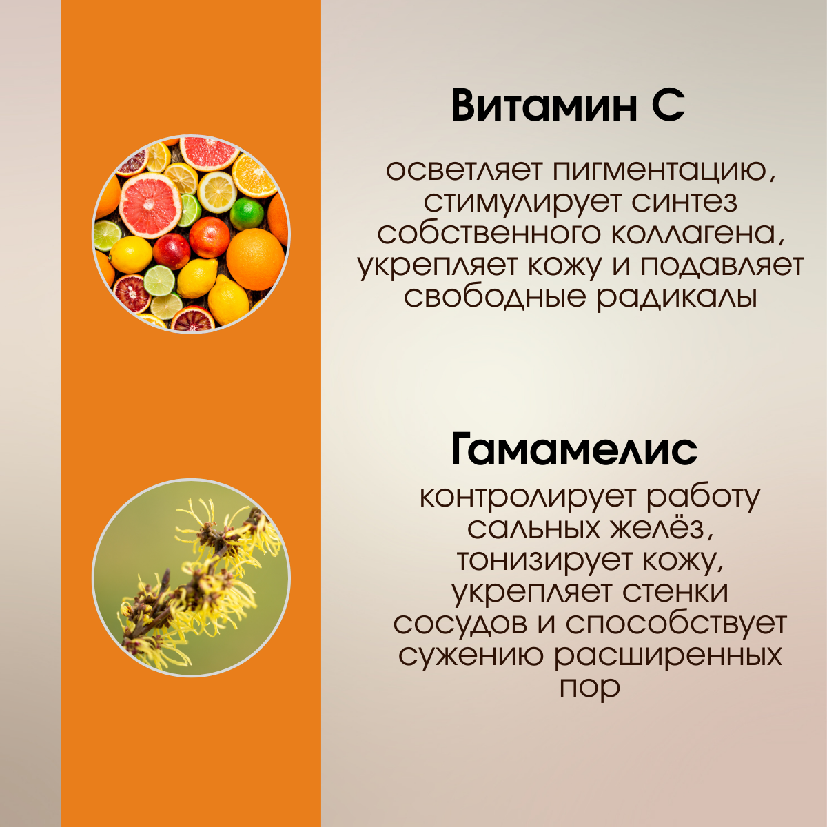 1000034228.png