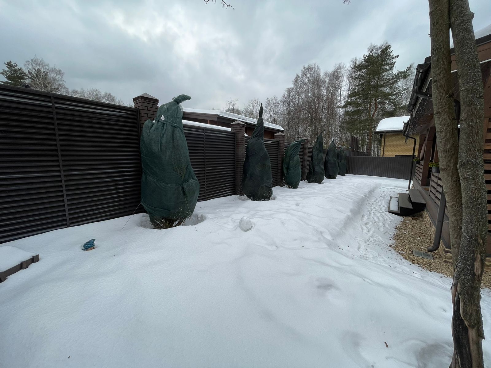 WhatsApp Image 2023-02-12 at 10.47.23 (1).jpeg