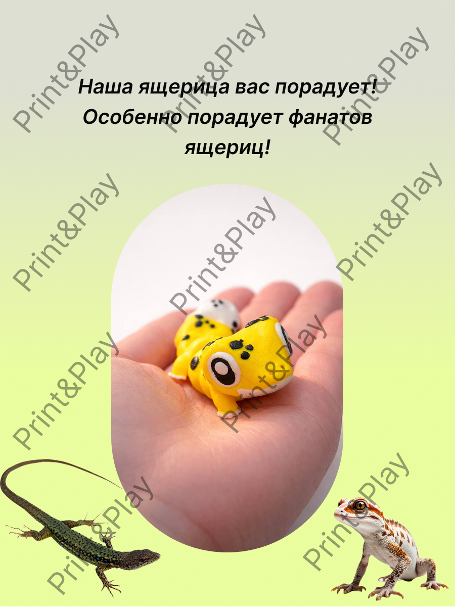 Group 7 (2).png