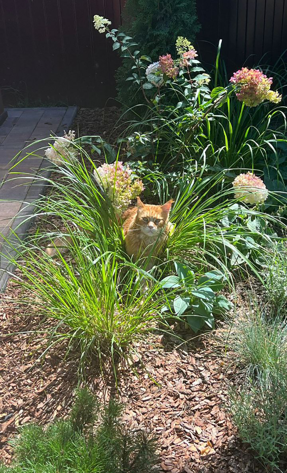 фЛАТИКА 1.jpg