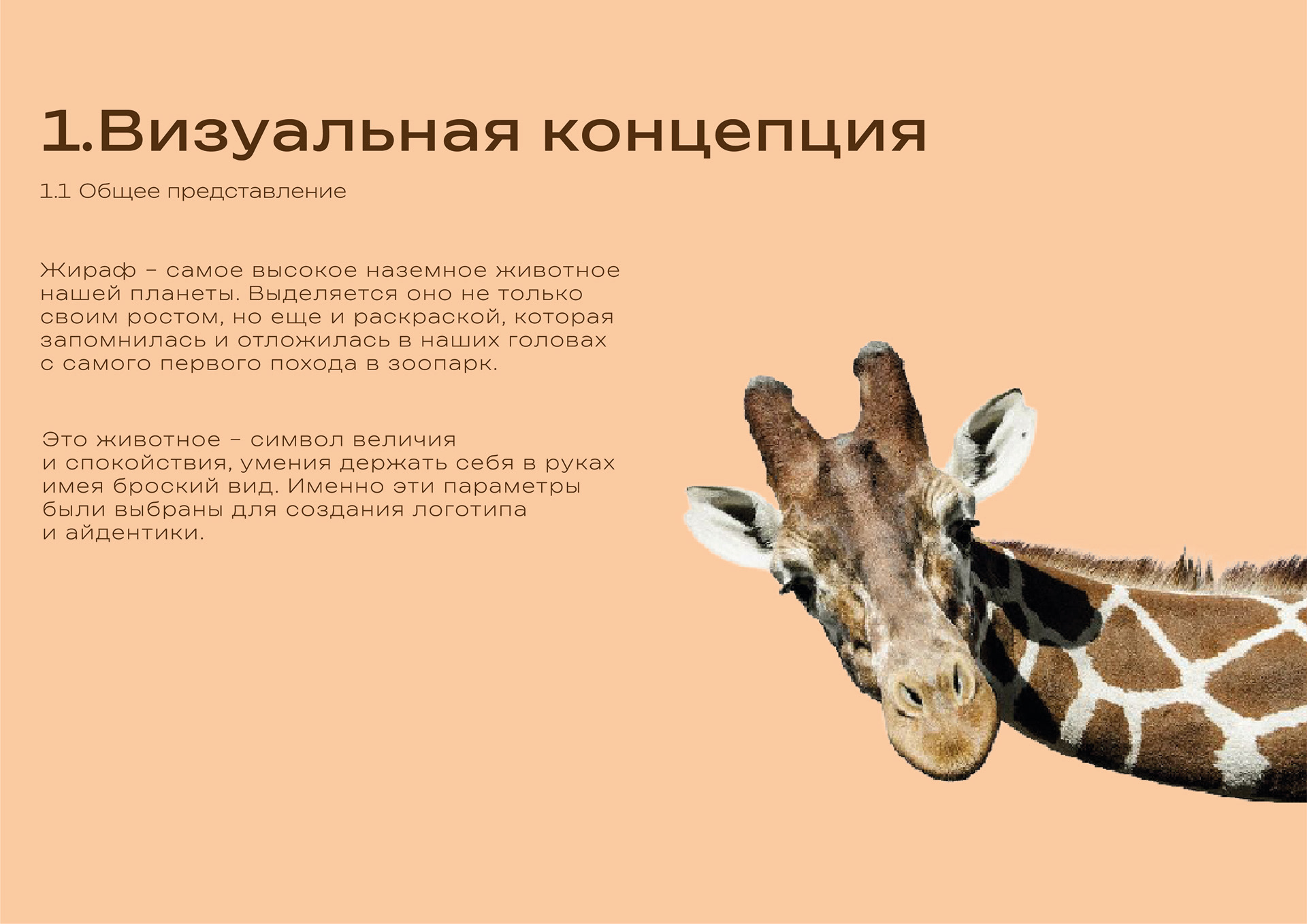 1683bb240686989.6943bfc0cf68a.jpg