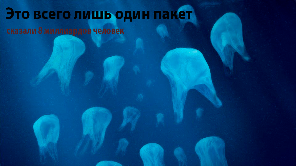 ddb3874314bf74af7ad7eeed3feb3c60 (1).png
