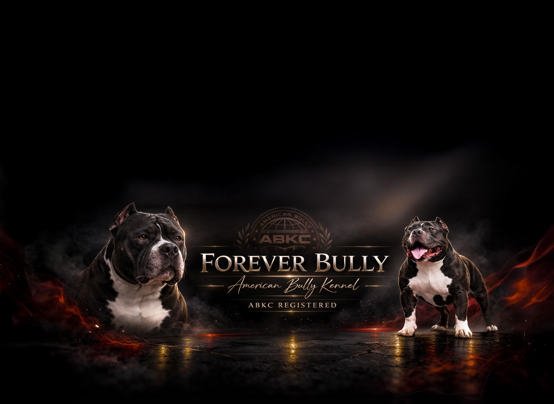 обложка 7финал.jpg