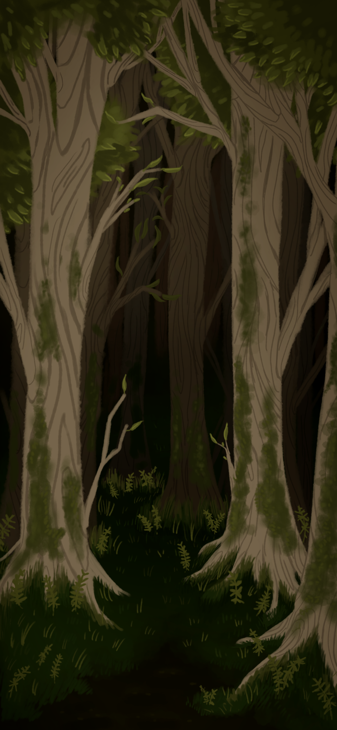 Мои рисунки