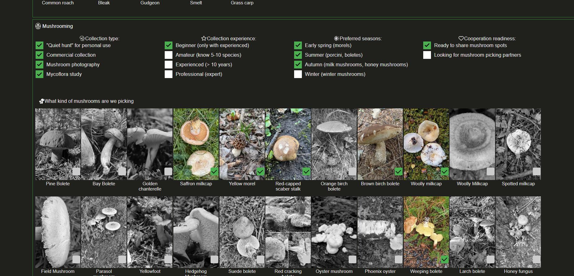 Скриншот 25-02-2026 211607.jpg