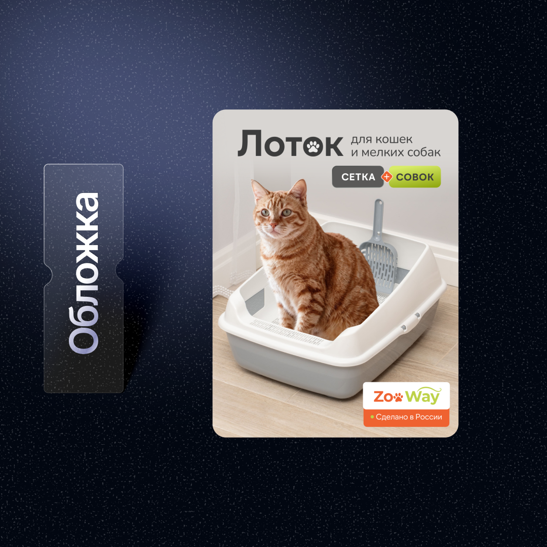 Group 1321314269.png