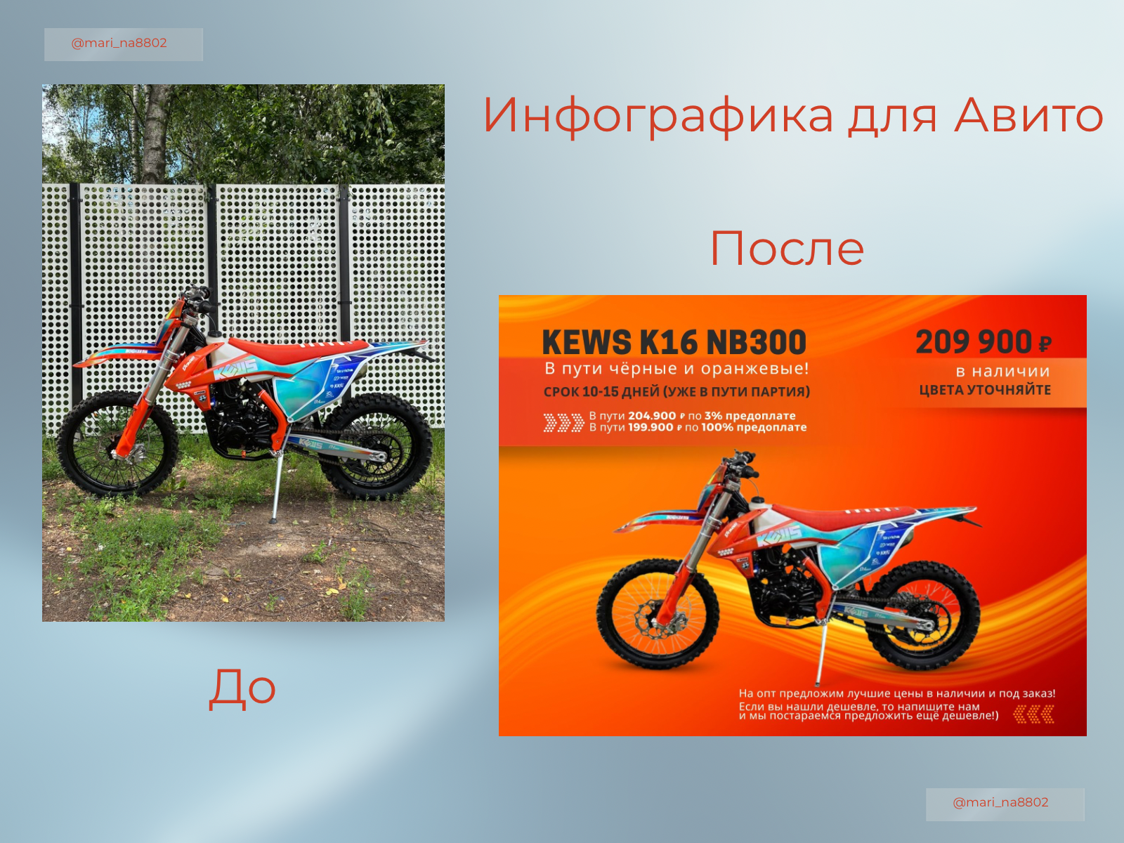 Инфографика для Авито