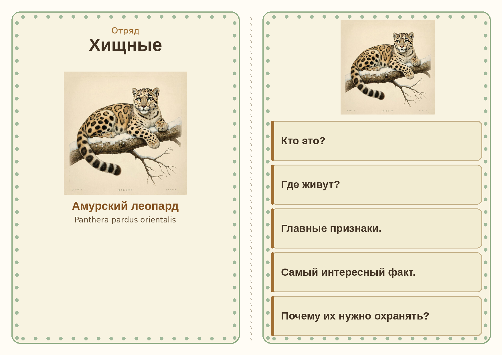 card_amur_leopard.png