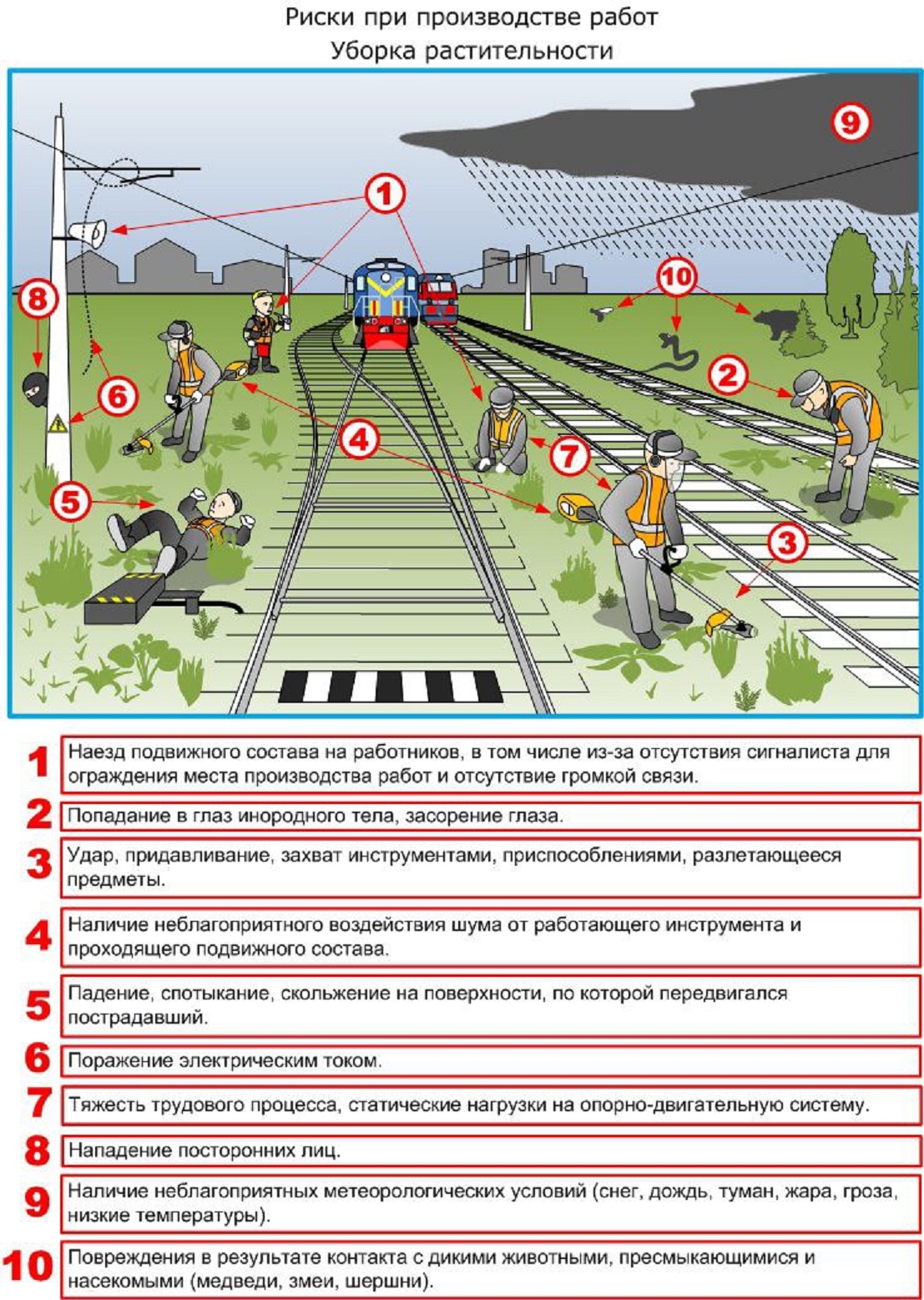 Уборка растительности.jpg