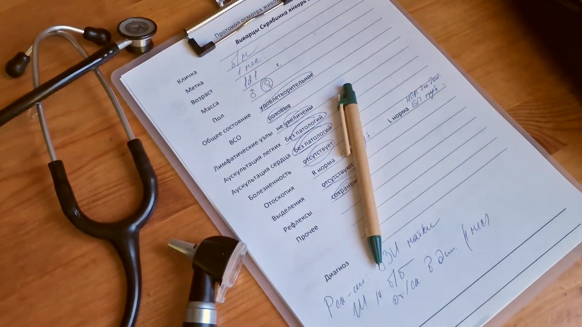 Виварцы 3.png