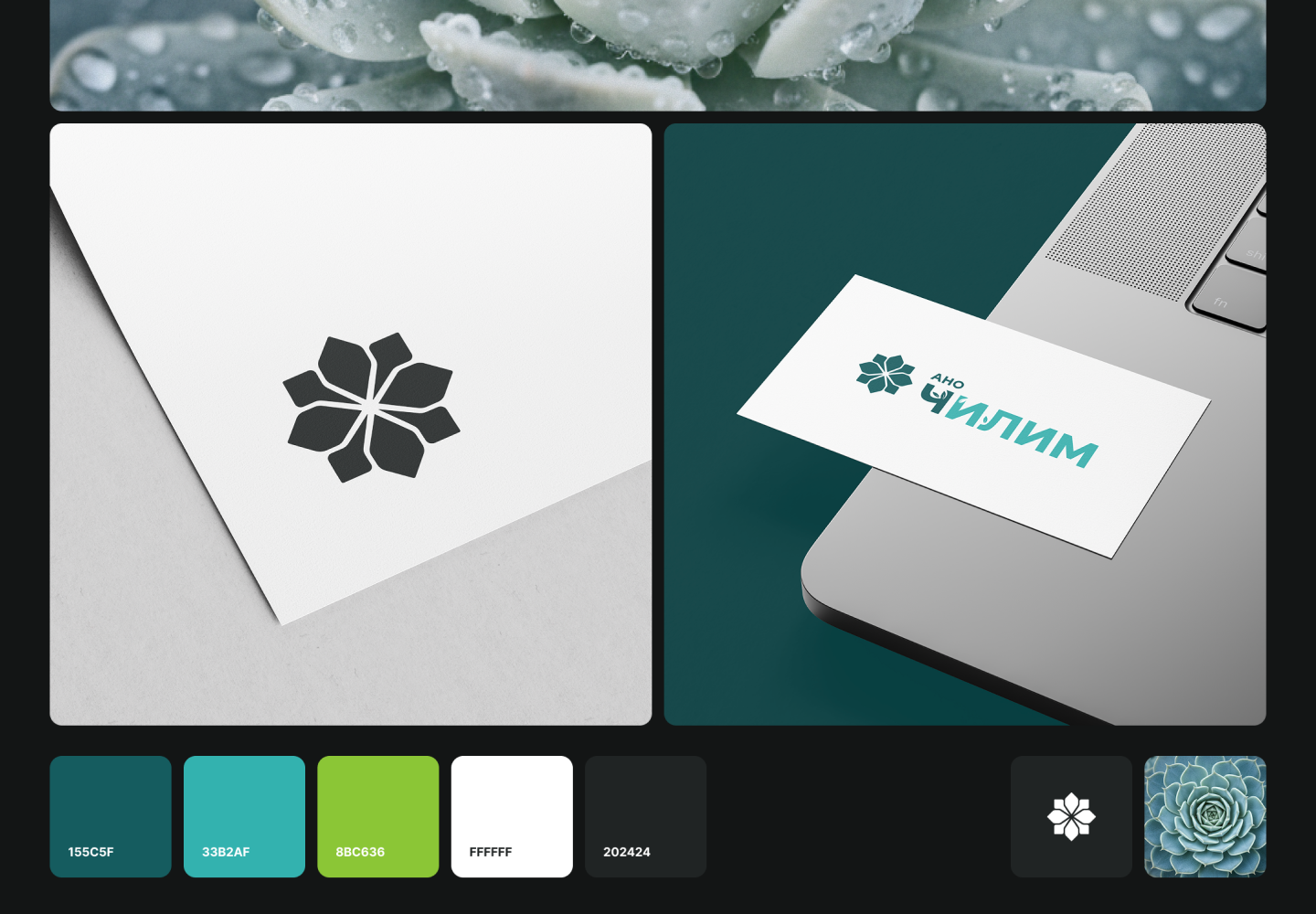 Логотип «Чилим»