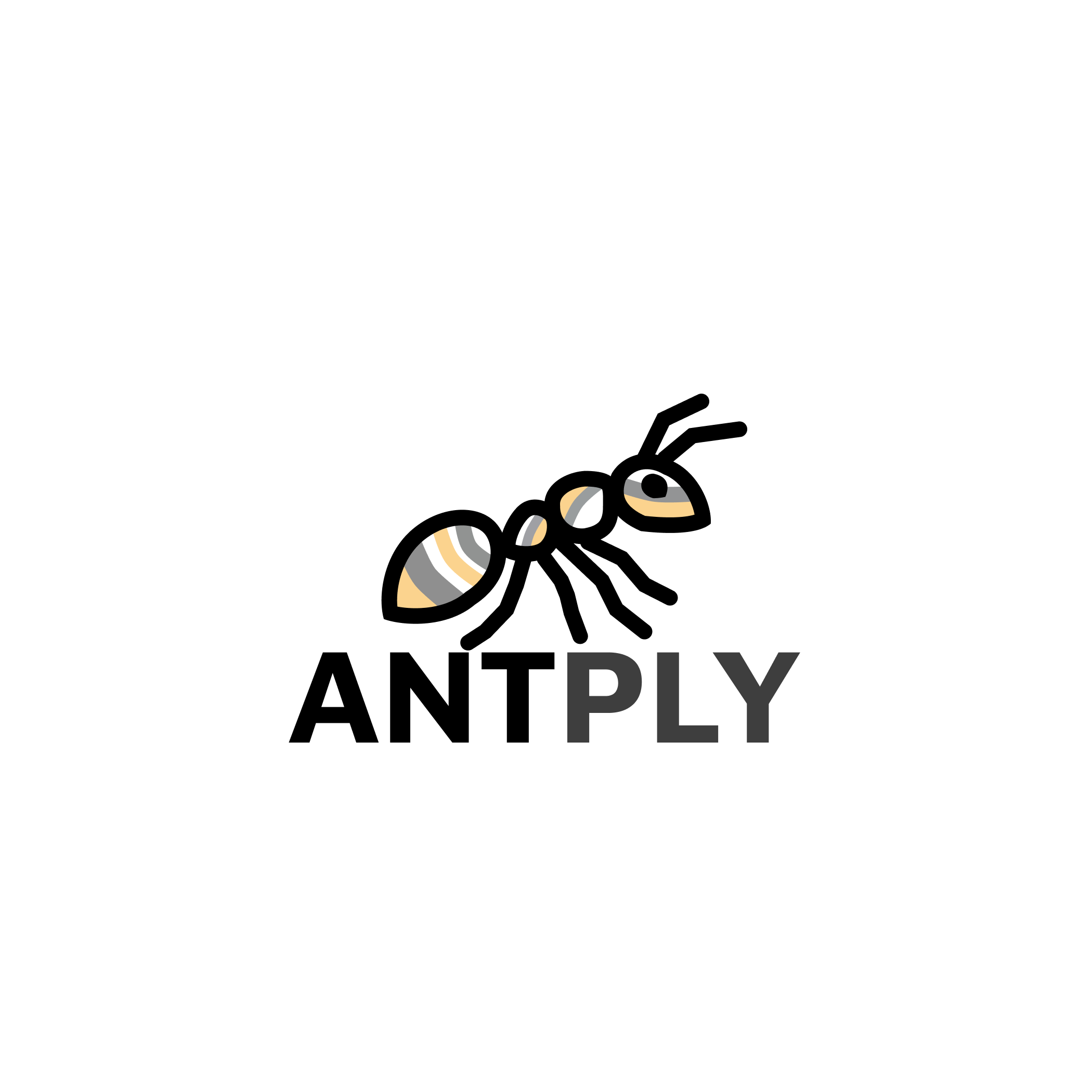 логотип ANTPLY.png