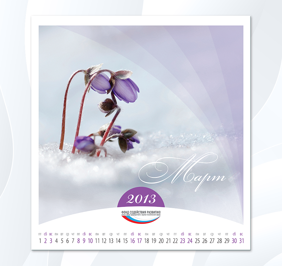 FSR-2013_03.png