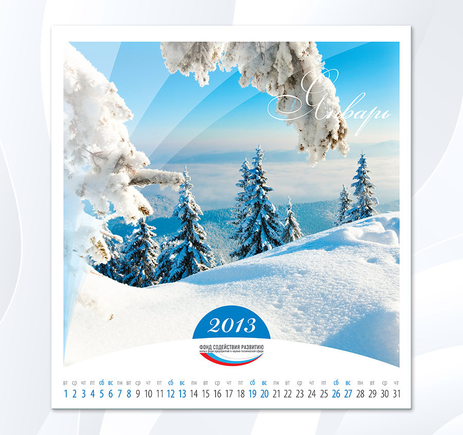 FSR-2013_01.png