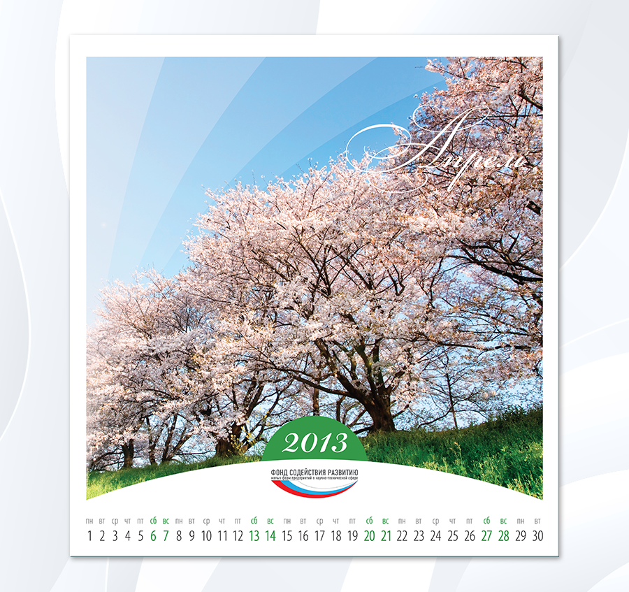 FSR-2013_04.png