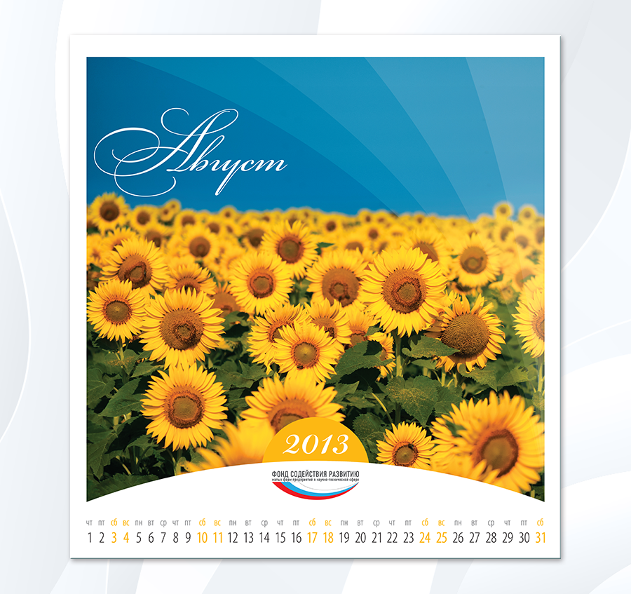 FSR-2013_08.png