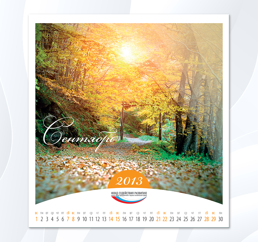FSR-2013_09.png