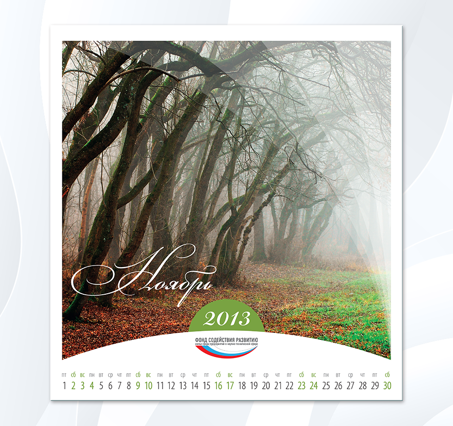 FSR-2013_11.png