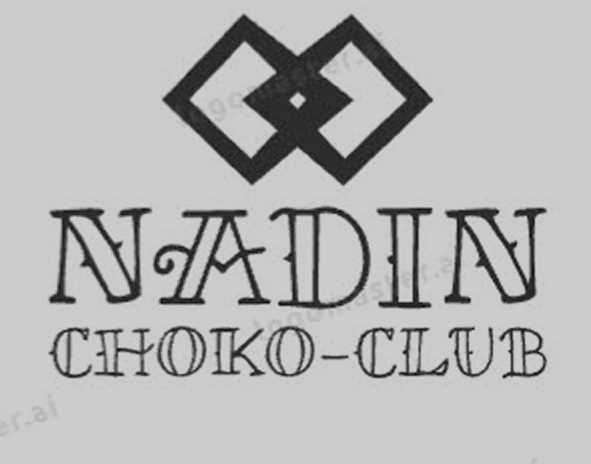 Логотип и брендбук для компании NADIN CHOKO-CLUB