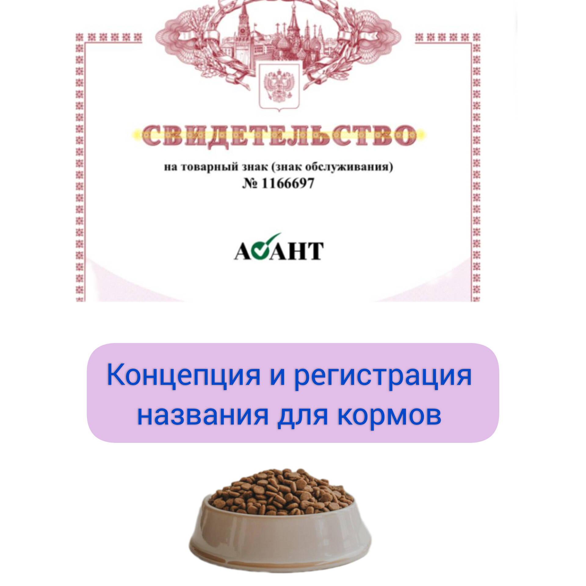 InShot_20260307_110202777.jpg