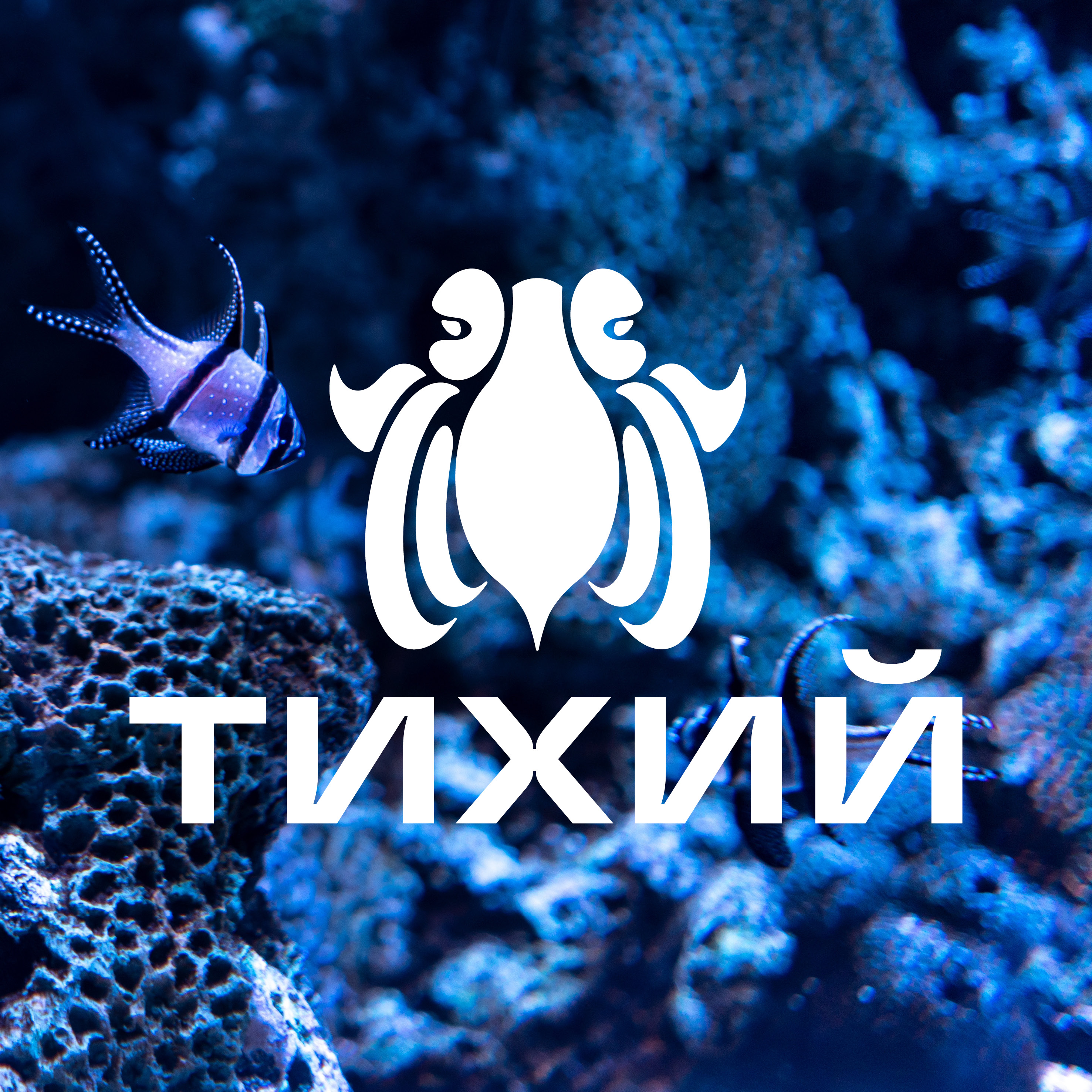 тихий2.jpg