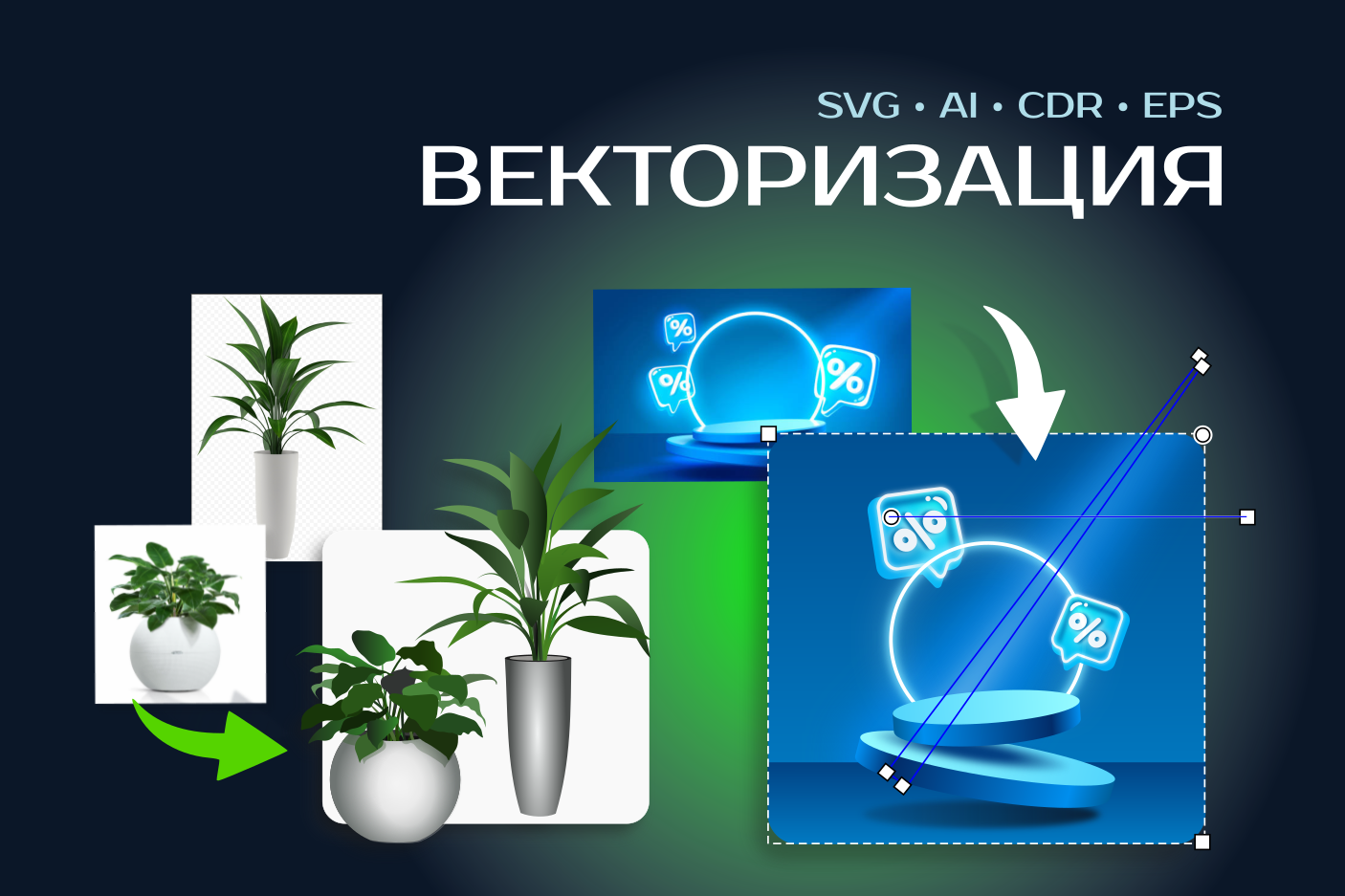 Отрисовка • Векторная графика