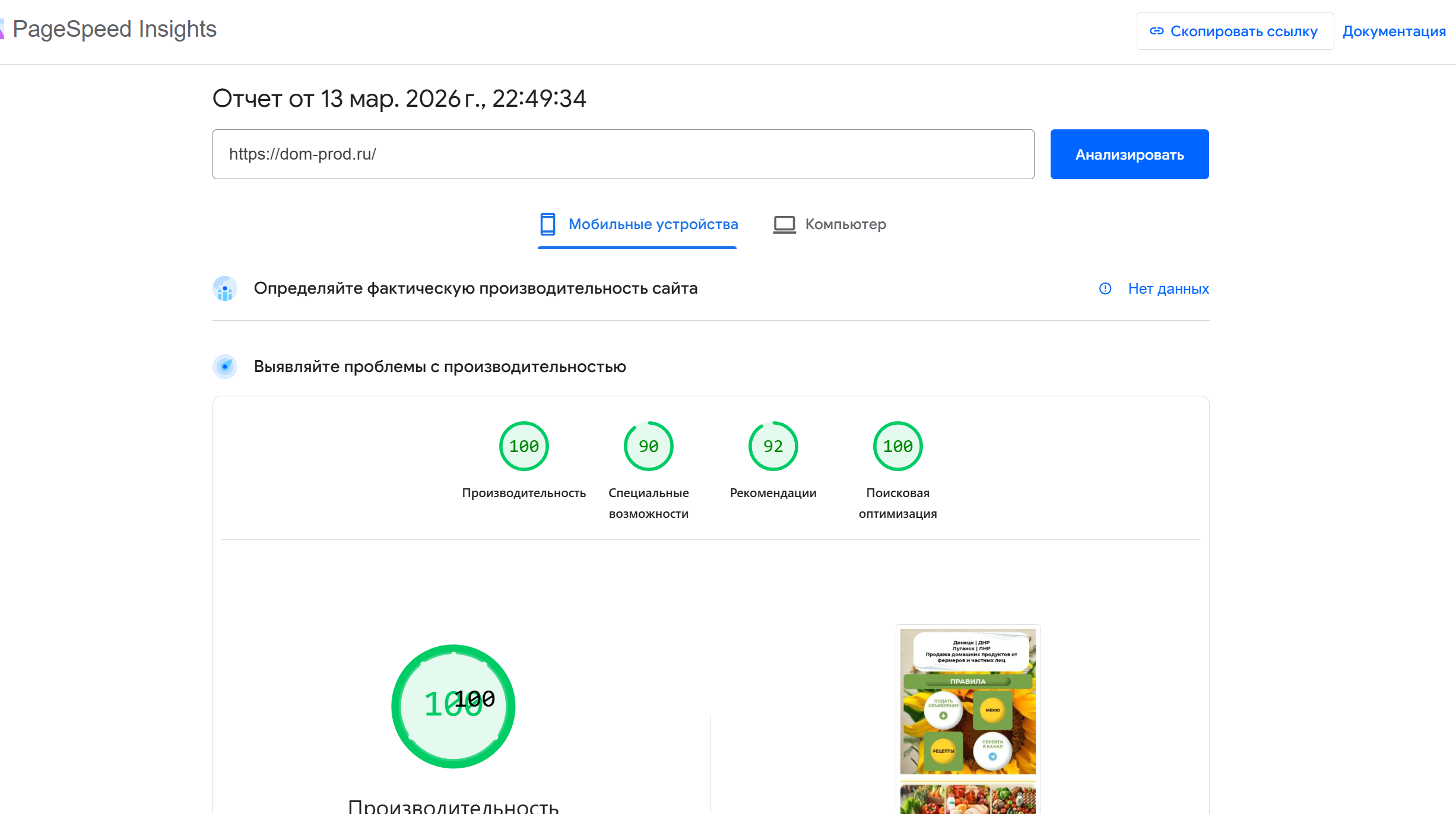 Поддержка сайта по скорости