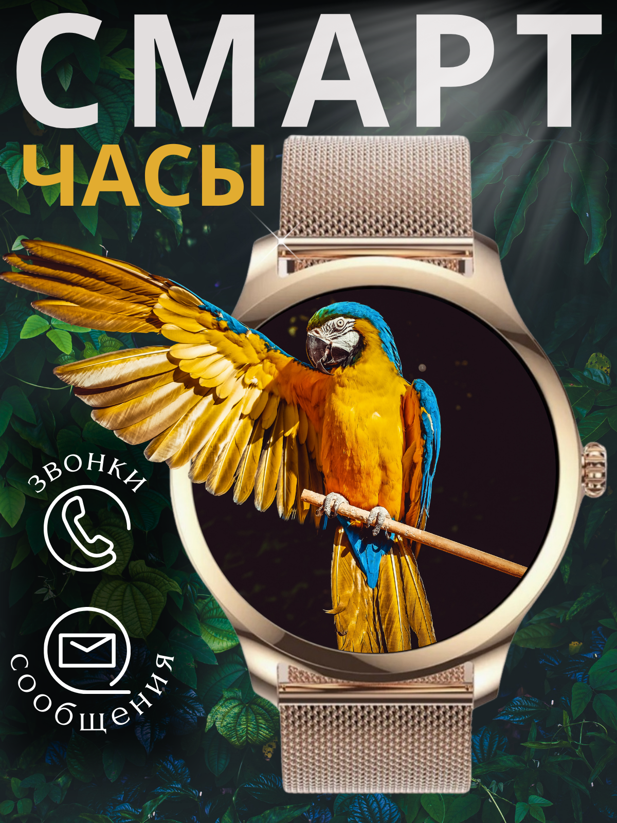 Главная карточка