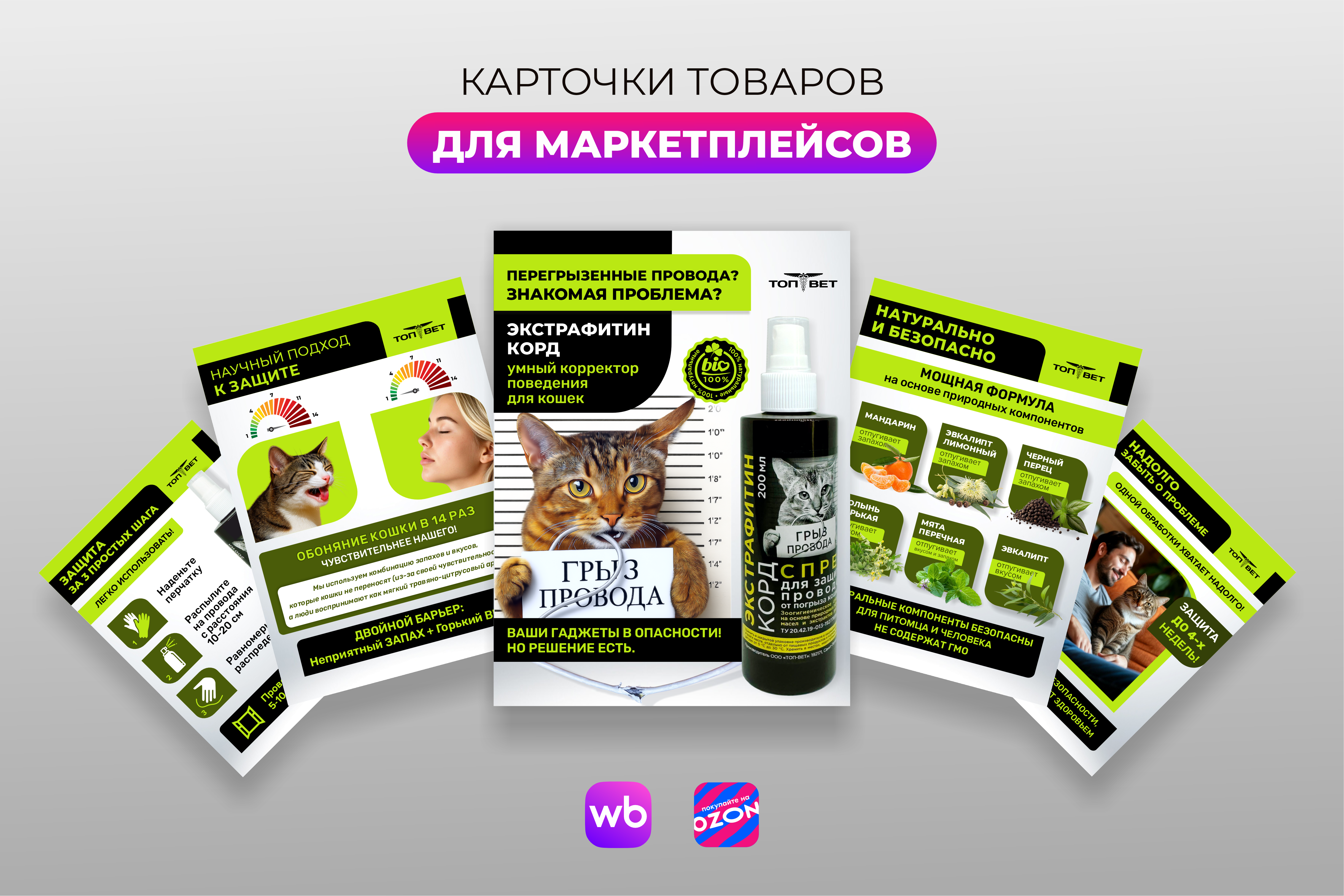 Кариочки кот.png