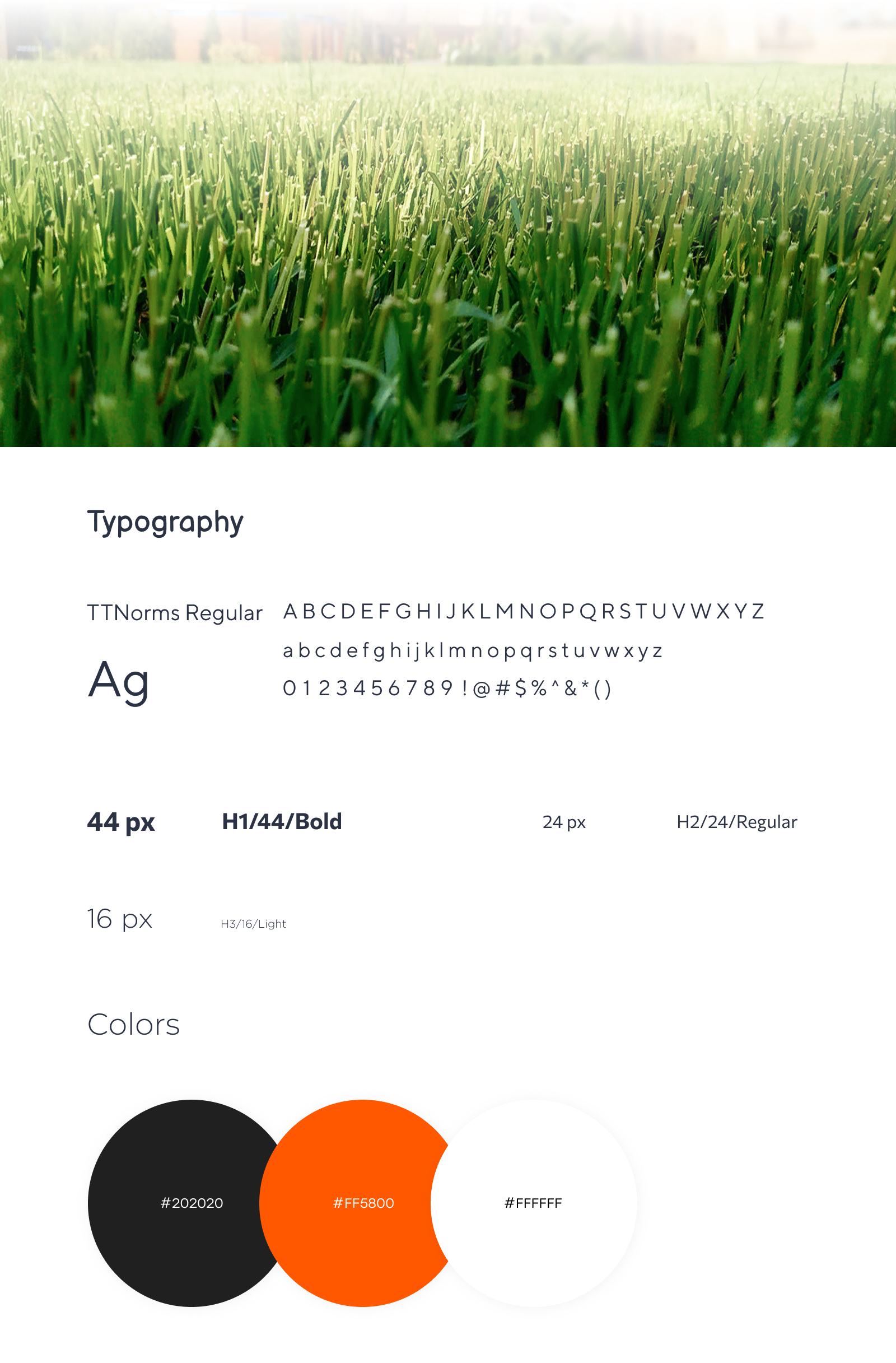 Портфолио (1).jpg