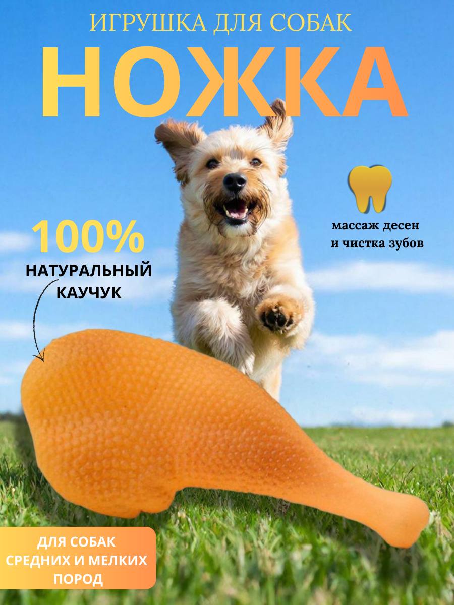 f0d11e68-7dd3-4029-b21e-006536882a25.jfif