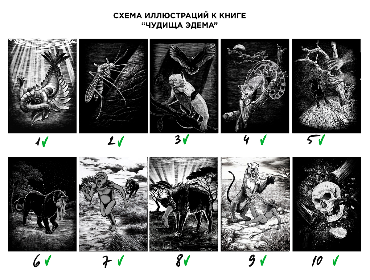 схема-иллюстраций.jpg