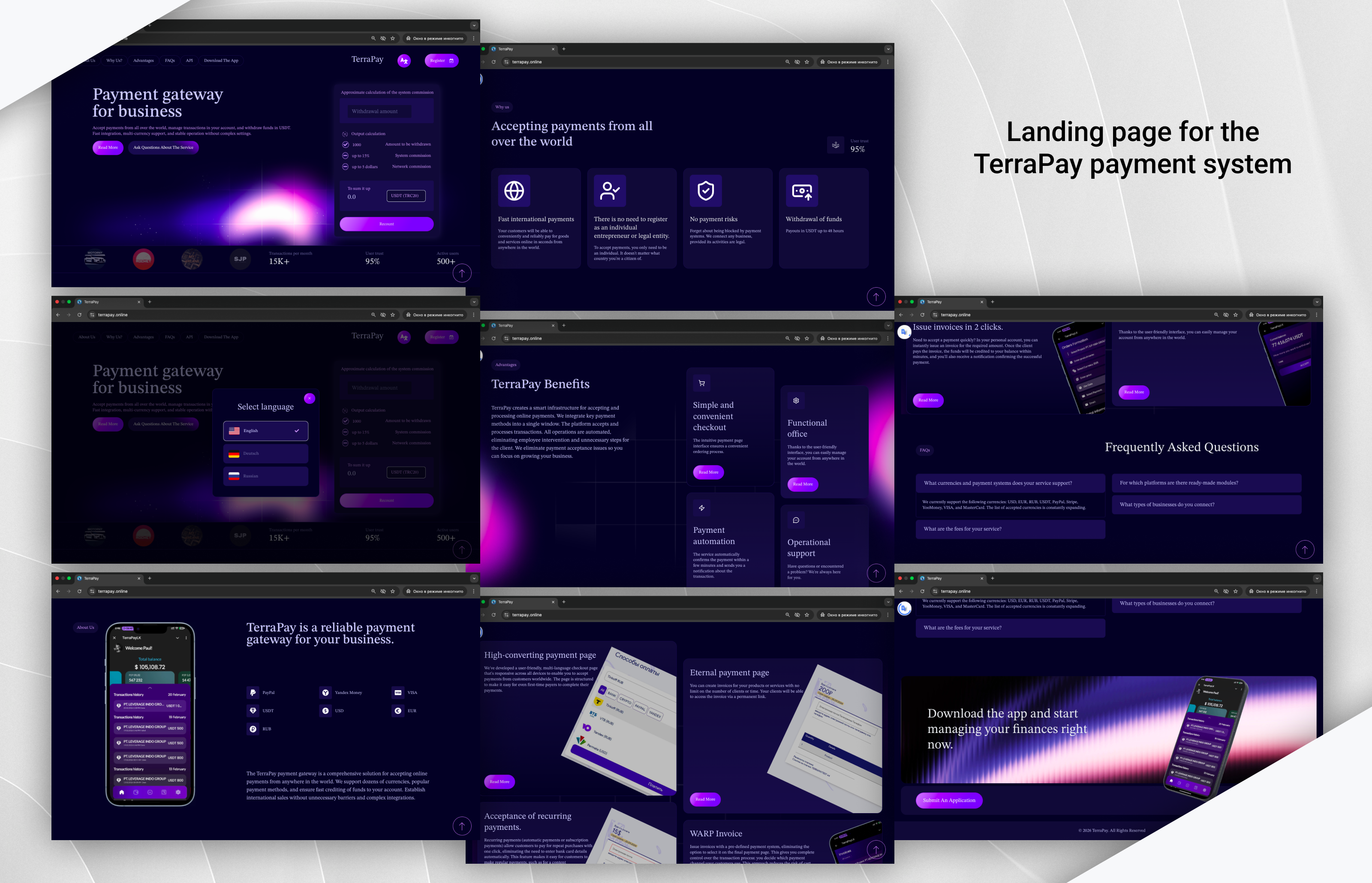 TerraPay3.png